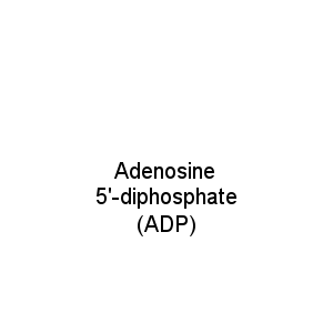 Adenosine 5'-diphosphate (ADP)